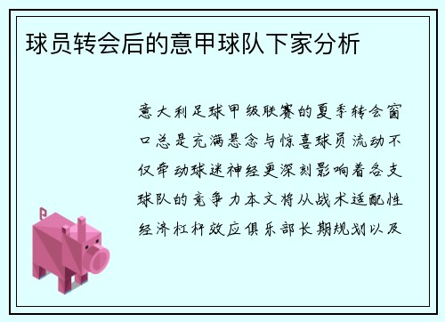 球员转会后的意甲球队下家分析