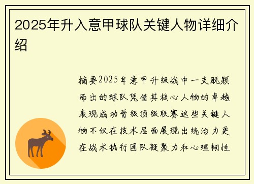 2025年升入意甲球队关键人物详细介绍